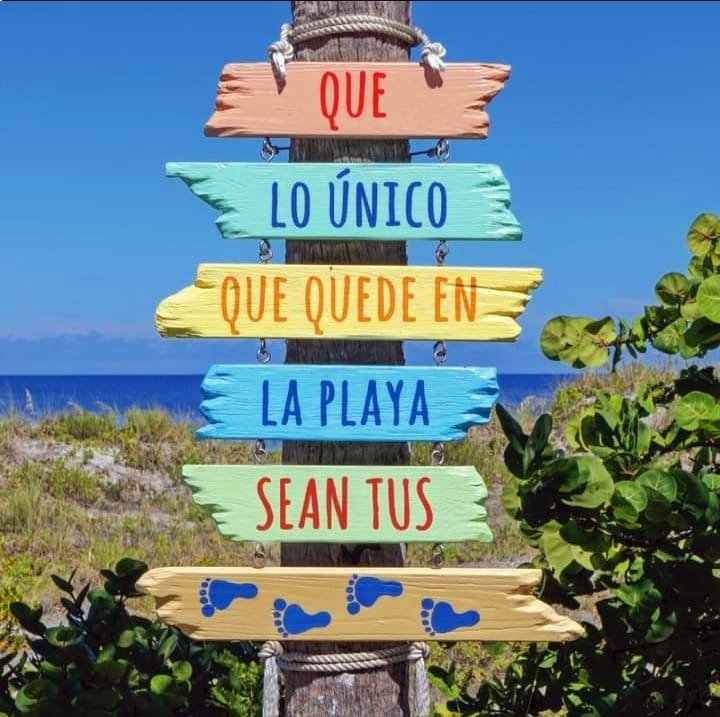 ASOCIACIÓN AMBIENTE EUROPEO tweet media