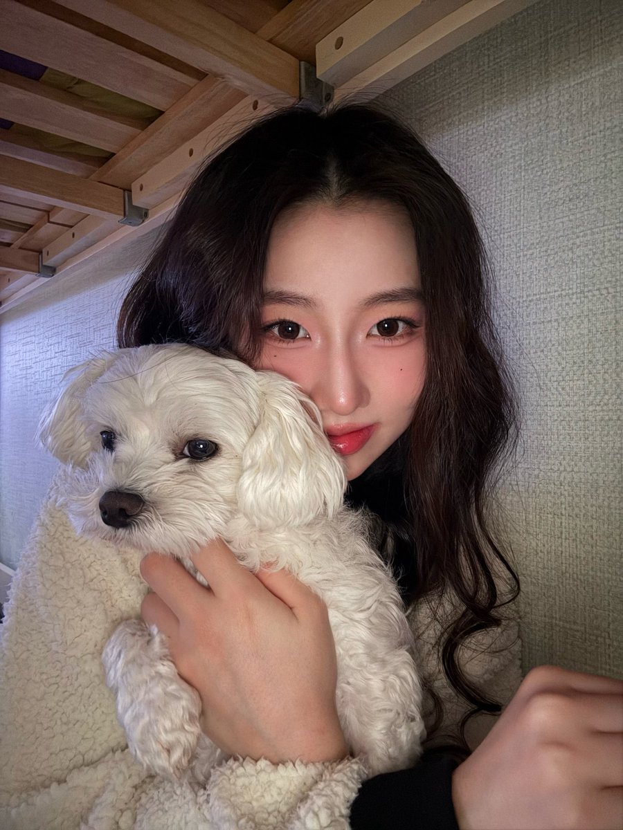 사진에 강아밖에없네 ♥︎ ♥︎