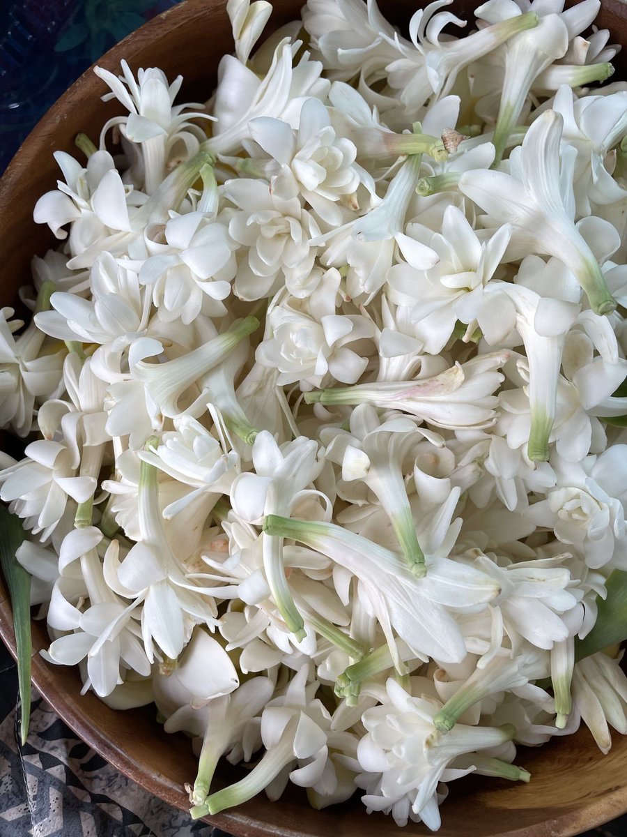 best FLORAL PERFUME from Scents of Pluto that i’ve ever tried. 

pecinta WANGI KUNTI CORE, WANGI WHITE FLORAL, WANGI MANTEN yang wanginya ninggalin jejak &amp; nyebar… this is an answer!