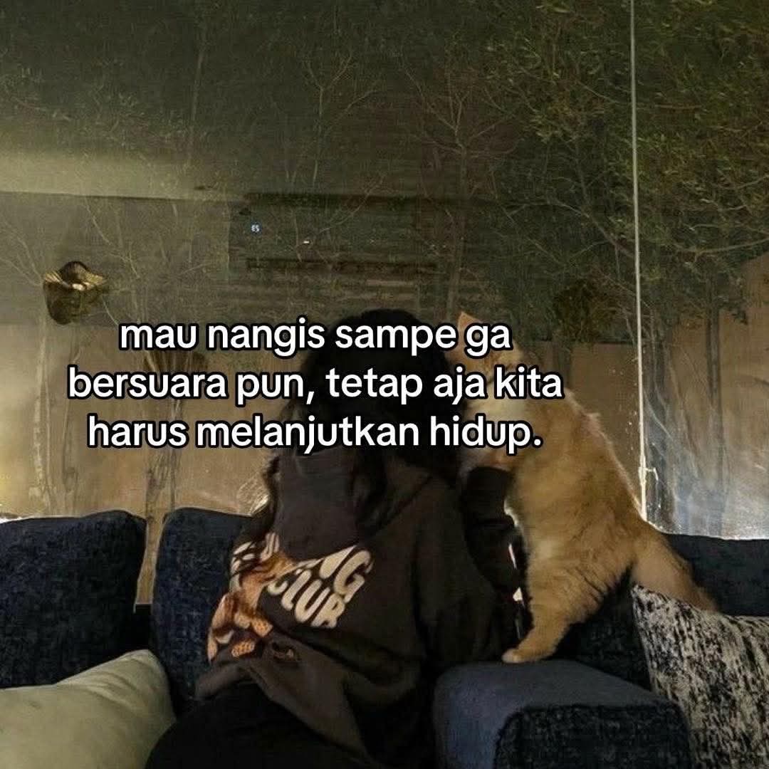 pocomnkg (@mhdarieff_) on Twitter photo 