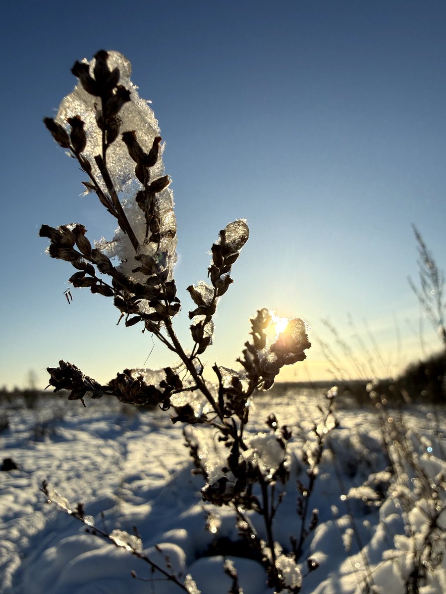 Esselamu aleyküm

Cumanız mübarek olsun