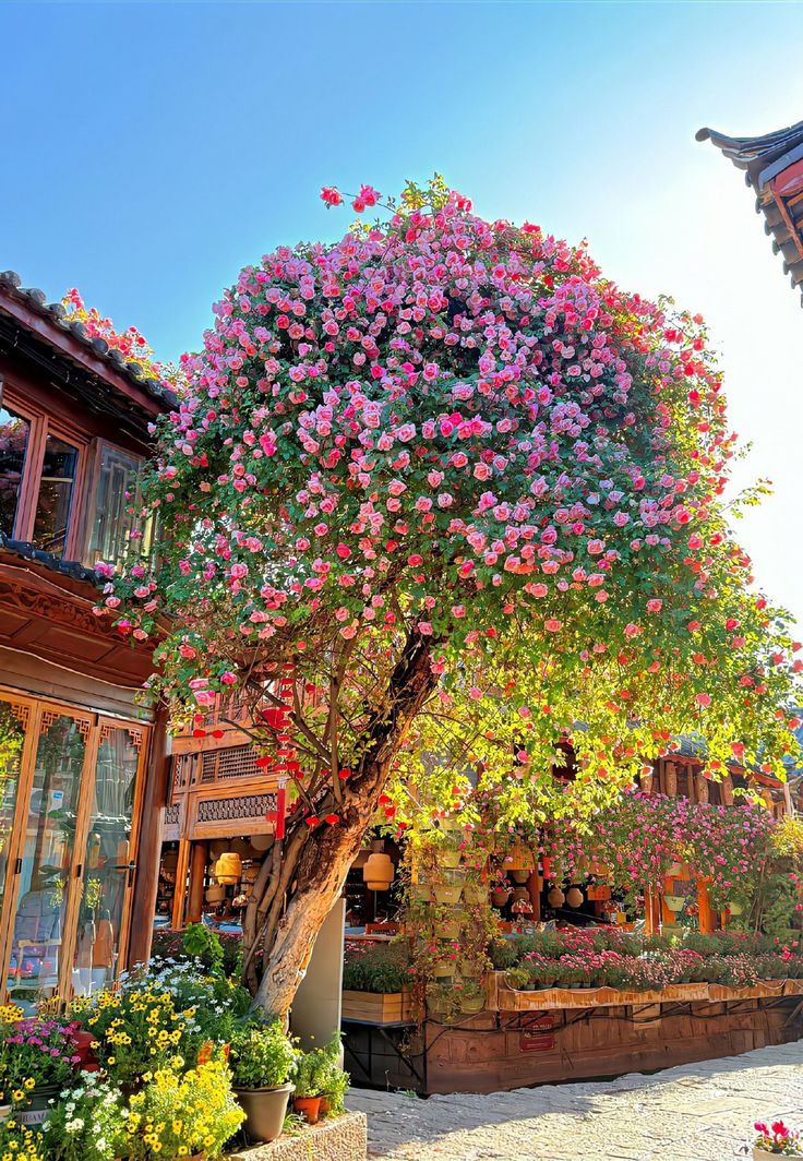 purelivn's tweet image. 