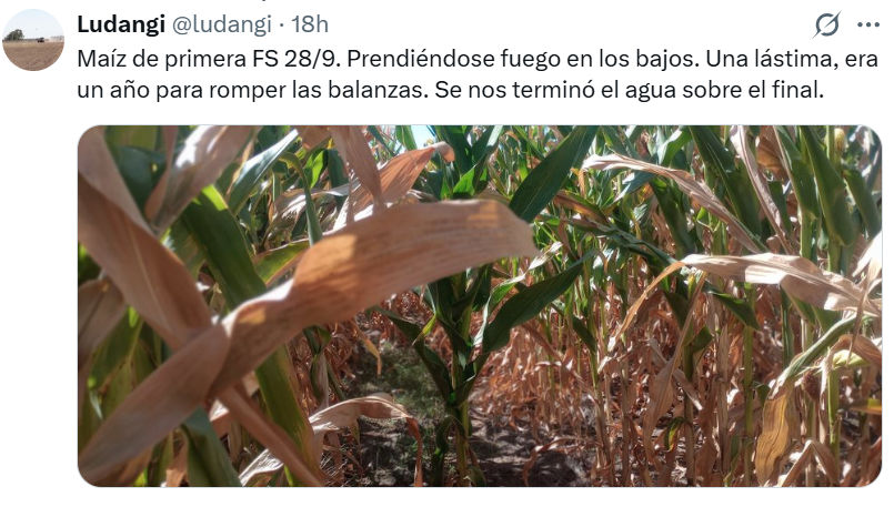 Maria Elena Otegui🎗️ tweet media