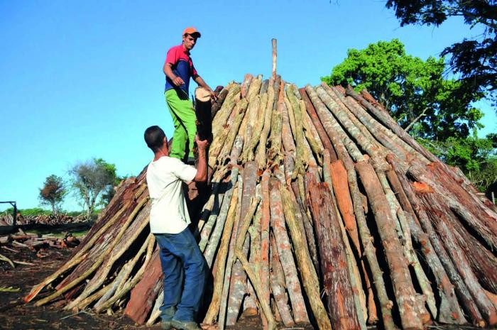 ✊| Este jueves tuvieron lugar los Plenos Extraordinarios de los Comités del Partido en la provincia de Cienfuegos y el Municipio Especial Isla de la Juventud, presididos en ambos casos Miguel Díaz-Canel Bermúdez.

Más información:
acortar.link/zJrmKU