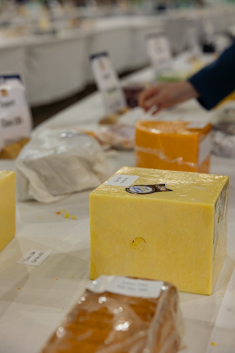BathandWest's tweet photo. 🧀 Cheese Lovers, rejoice! Join our Expert Guided Cheese Tasting Tours at the Food &amp; Drink Festival.

✨ Add Cheese &amp; Chutney pairings for £5 extra on the day!

🎁 Tours include a goodie bag. Limited slots, book now! ➡️ https://t.co/OGjckSabNz https://t.co/tXXFUvnsLp