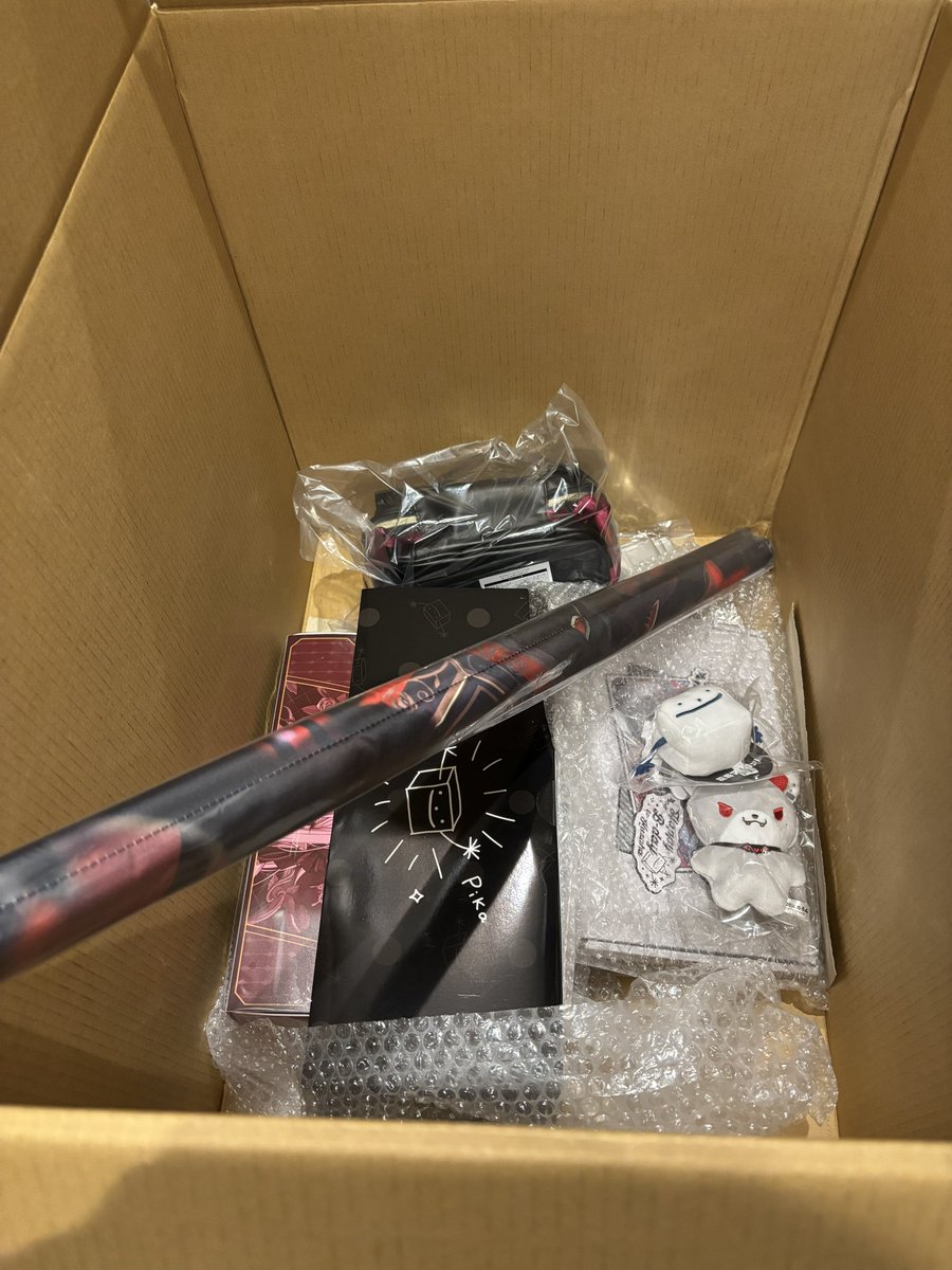 葛葉グッズ届いた🎲ダンボール無駄にでかい 石田ルームライトとさにゃ