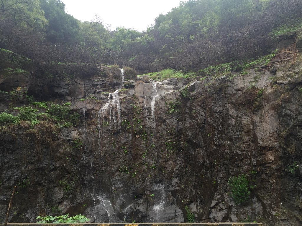 shashistaar's tweet photo. @nishjamvwal @narendramodi @AmitShah @Dev_Fadnavis @PiyushGoyal @PMOIndia @CMOMaharashtra It would be a prestigious tourist destination for #India esp #Maharashtra & #IndianGovernment must intervene support enliven revive #Lavasa immediately IN THEIR OWN INTEREST
Step in & save this jewel
@PMOIndia @AmitShah @Devendra_Office @narendramodi @Dev_Fadnavis
@PiyushGoyal https://t.co/YkIxmAre2t