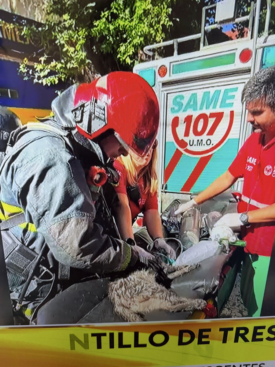 Patop's tweet image. Un ❤️ para el SAME, encima es igual a mi Feli