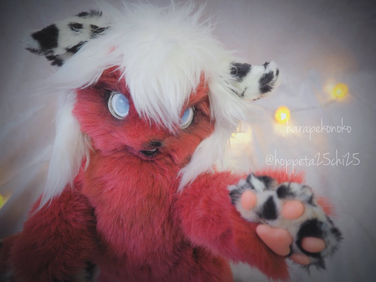 ハラペコ (@hoppeta25chi25) / Posts / X