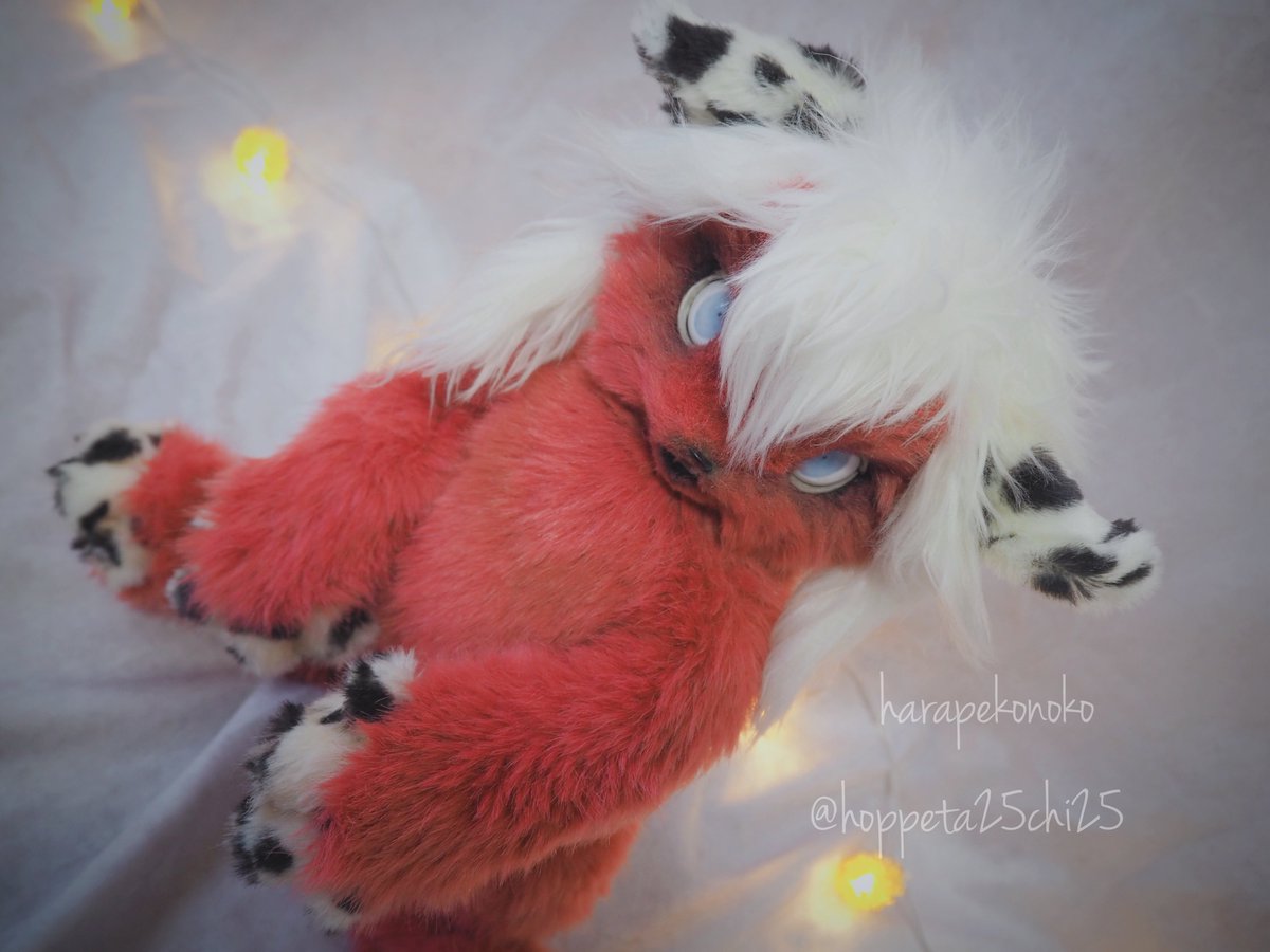 ハラペコ (@hoppeta25chi25) / Posts / X