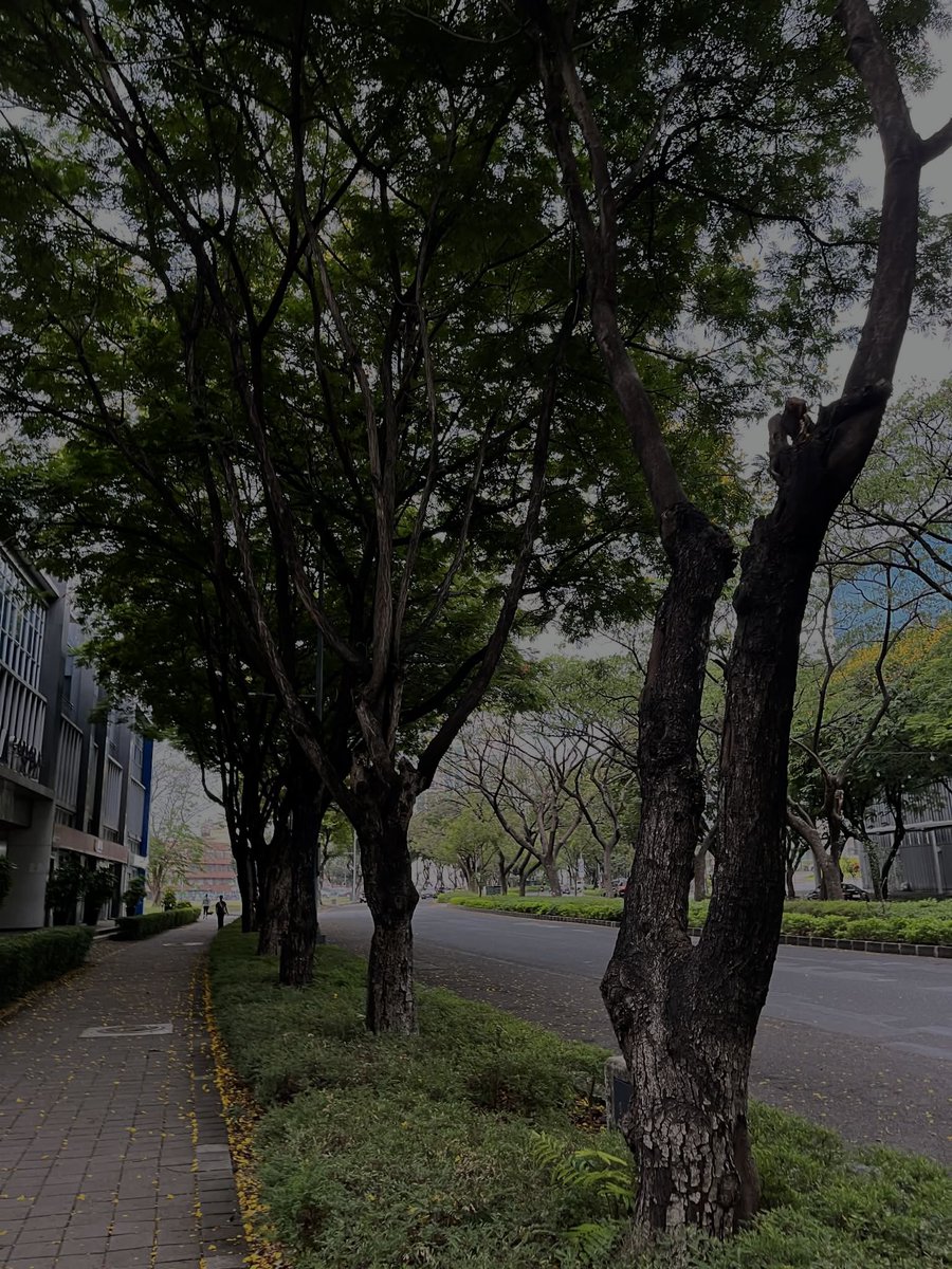 _haern's tweet image. Another snap by arschives