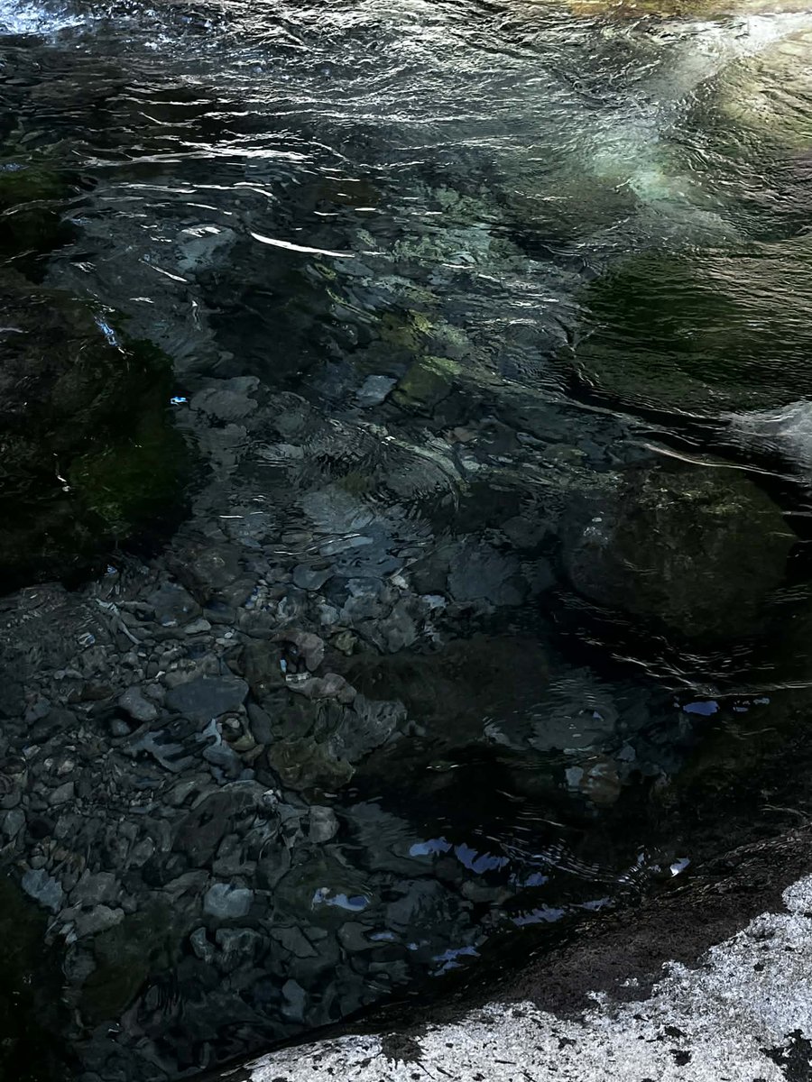 _haern's tweet image. Another snap by arschives