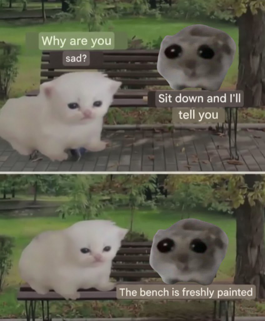 Sad Hamster - $Hammy (@sadhamsterx) on Twitter photo 