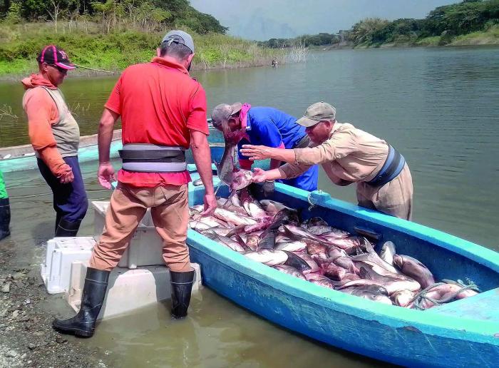 💪🇨🇺| Hay que pasar de la retórica a los hechos.

↪️ Aseguró este jueves Manuel Marrero Cruz, durante la continuación de las reuniones extraordinarias de los consejos provinciales de Gobierno, por Ciego de Ávila y Sancti Spíritus.

Ver más:
acortar.link/rRs6bF