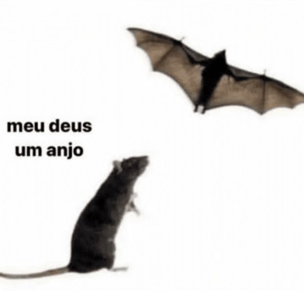 eles enxergando a gente assim