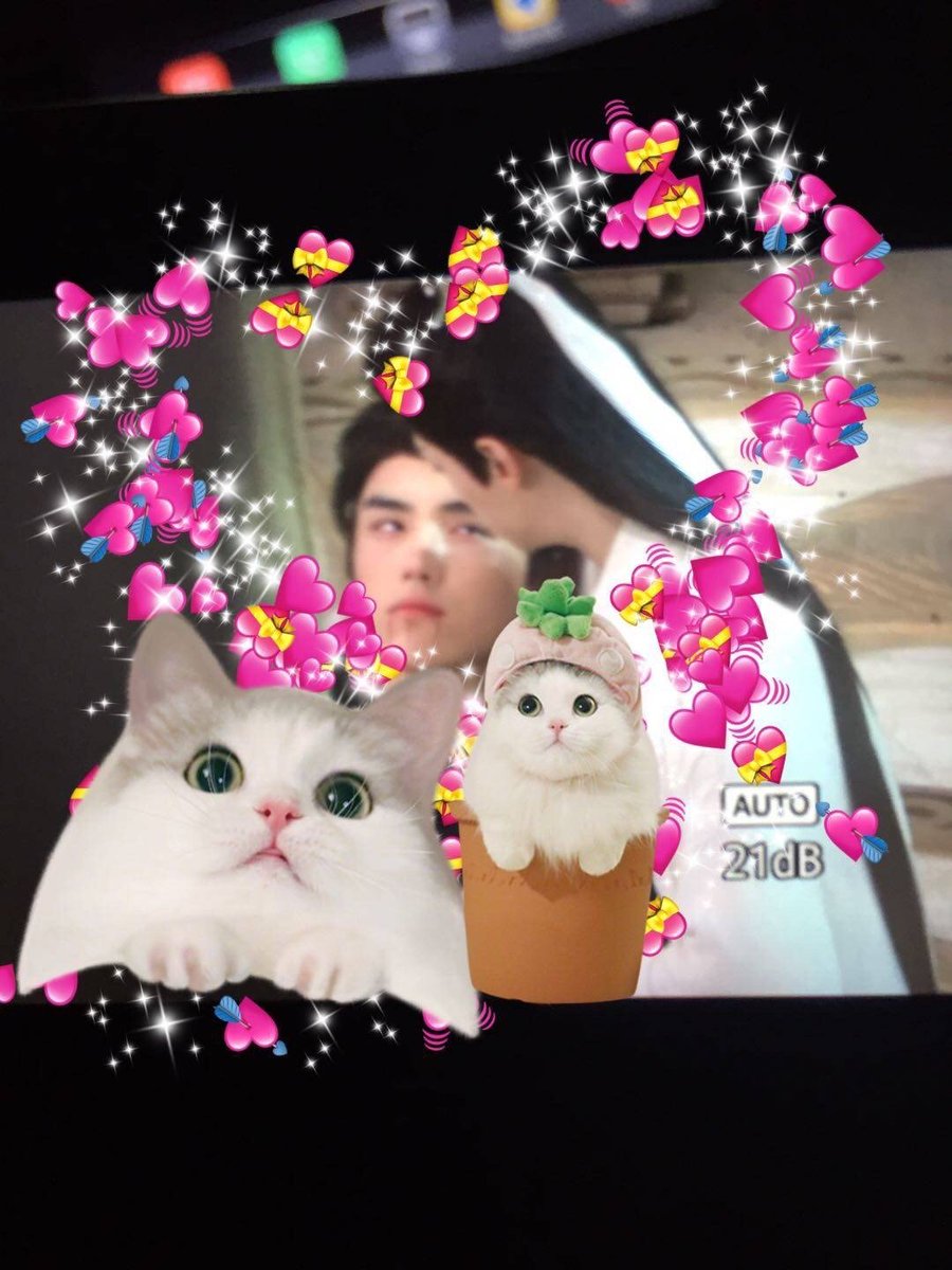 Tist_T's tweet image. ฉากไหนน้ออออ ฉายหน่อยอยากร้องไห้จ้าาาา