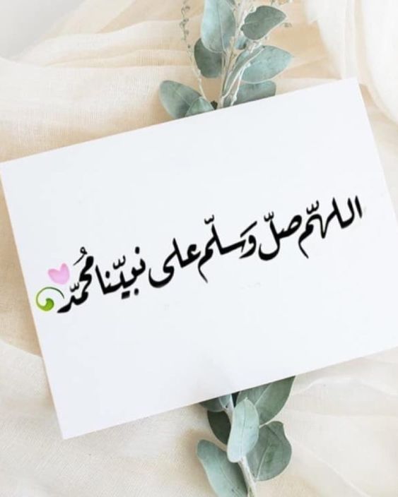 ⲦⲨ𝓙ⲀⲚ tweet media