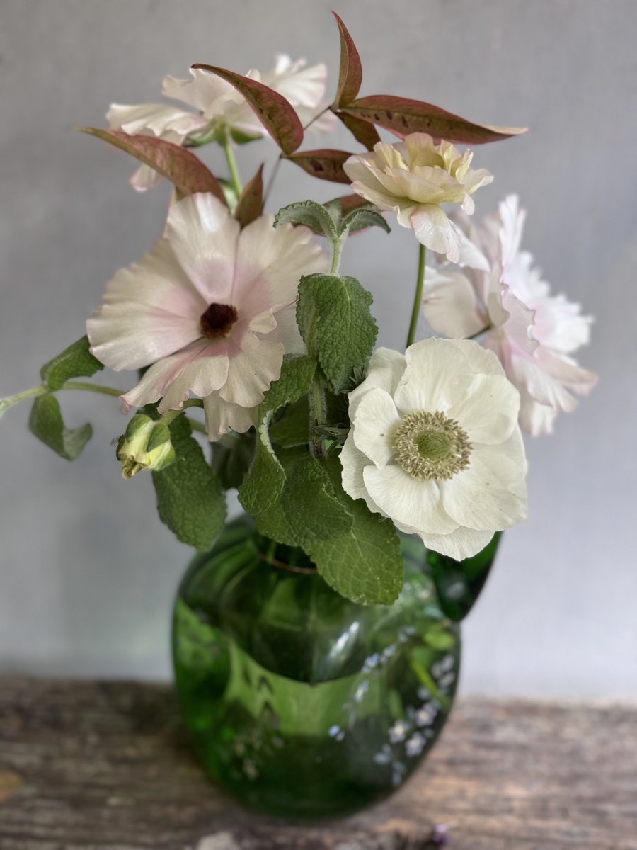 Just to remind you the dark centred pale pink flower is one of the butterfly type of ranunculus I’m growing 🌱🤞💐