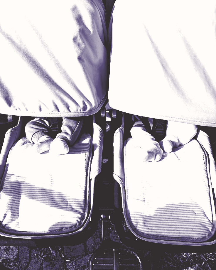 pytogui's tweet image. ᅟSexta-feira, febre insistente e a cabeça latejando. A gripe apertou, mas se elas precisam de sol e ar fresco, o destino não poderia ser outro: o quintal da Obaachan! Por coincidência ou força do afeto, o cheiro de mato e o silêncio daqui curam mais do que qualquer remédio.