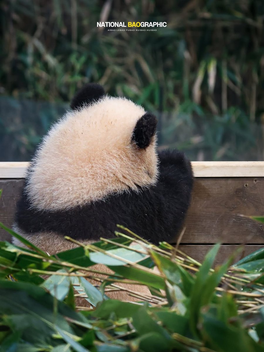 kate68_102's tweet image. 