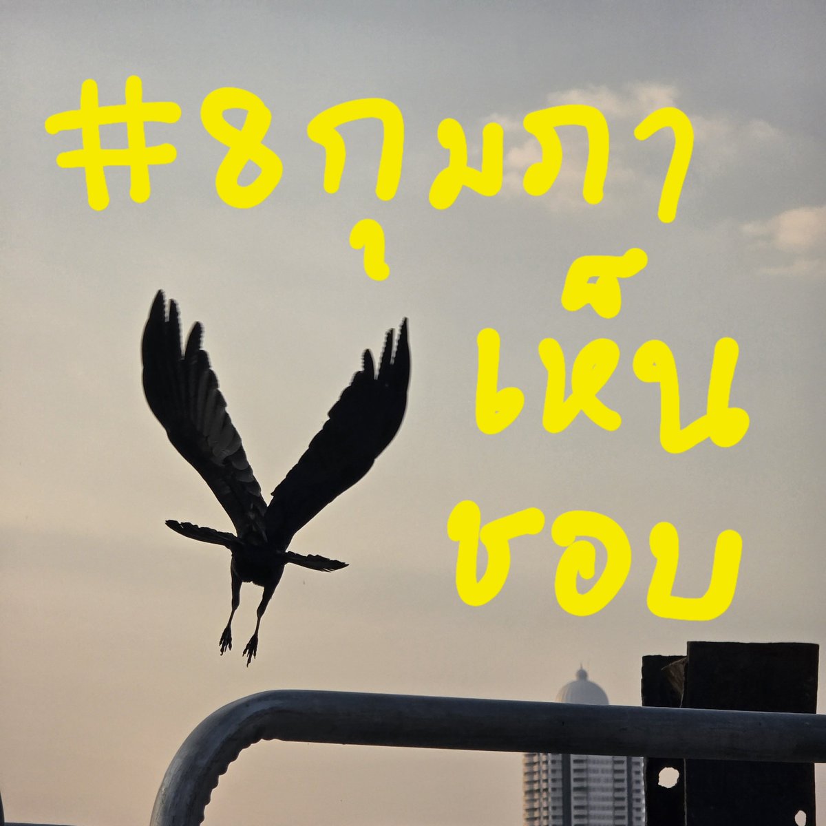 8กุมภา🐦‍⬛เห็นชอบ