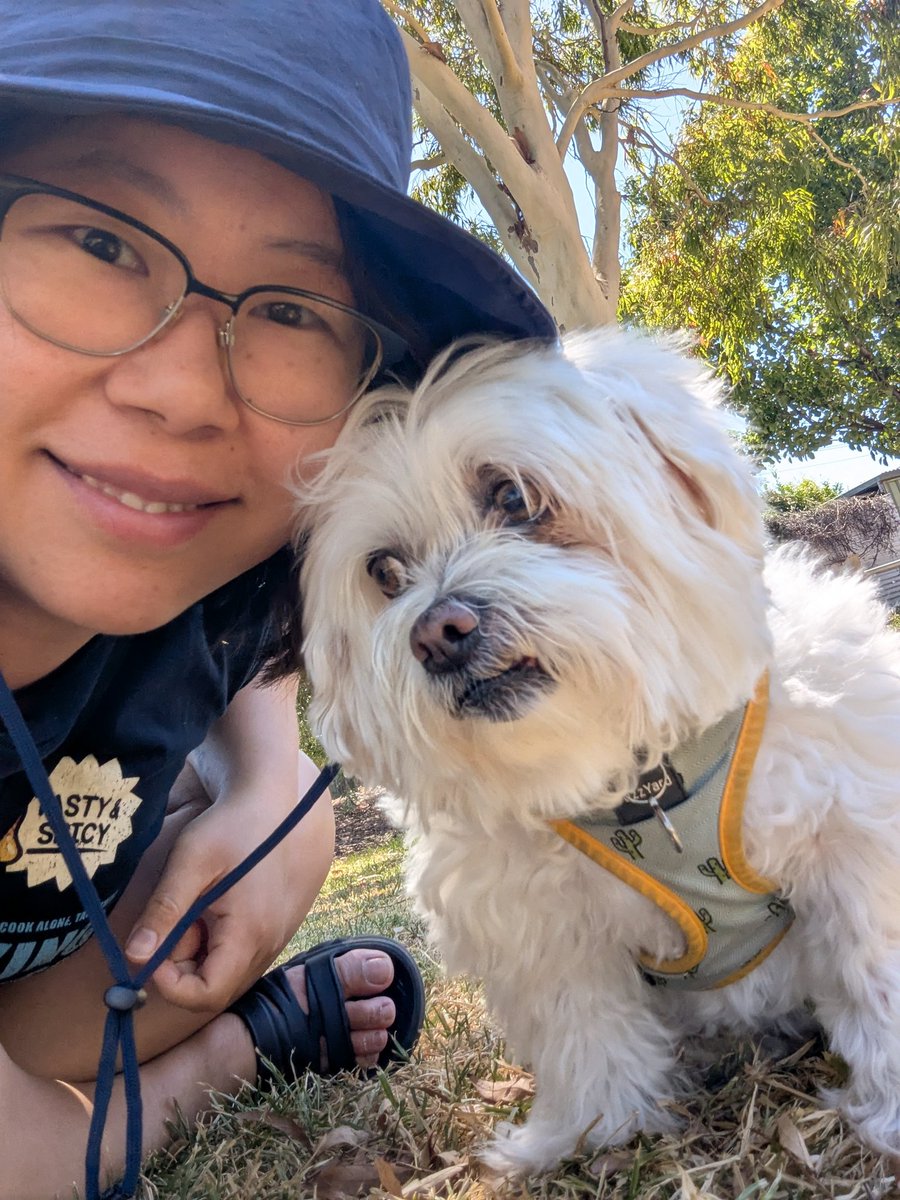 chareli 🥞🥳 pankake_party tweet media