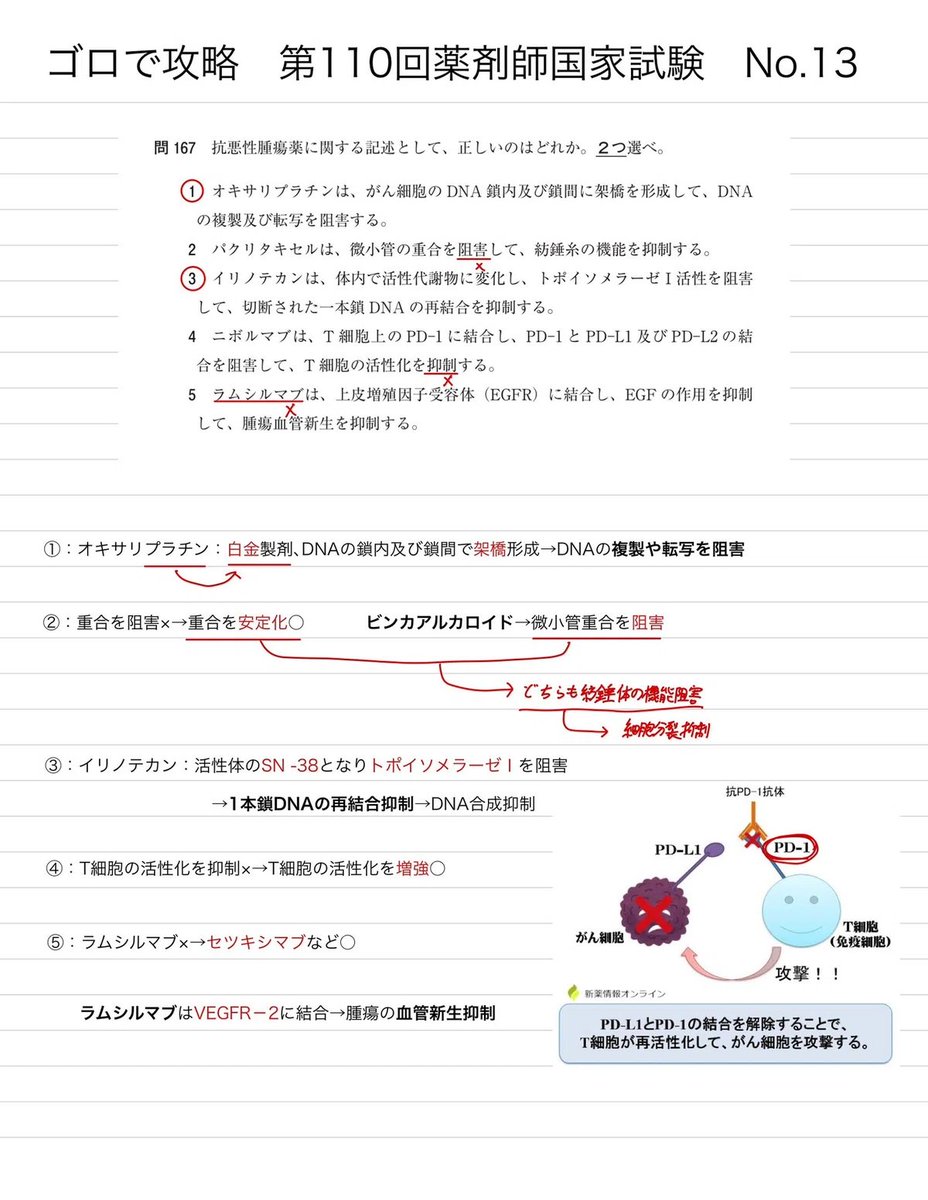 第１１０回薬剤師国家試験 薬学ゼミナール 第110回 薬剤師国家試験対策参考書 1〜9 青本/青問