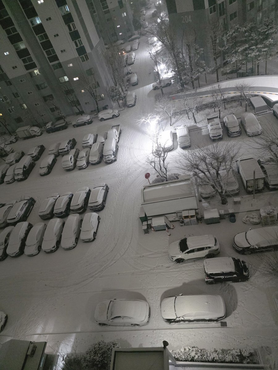 눈이 내려요~~~ 
또 눈이 내린다
또 겨울이 온다
모두 행복해하는데
나만 왜 이러는데
사랑한 만큼 그리운 만큼
후회한 만큼
흰 눈이 내려 쌓여
널 보고픈 맘까지 얼지 않기를
널 잊지 않기를 바라며 기도한다