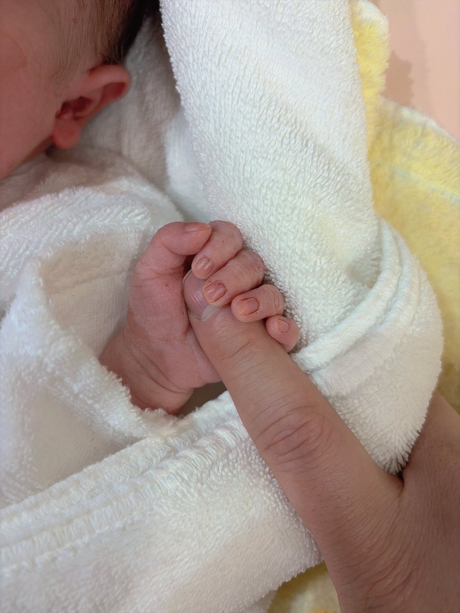 ぴぬ☺︎︎🎀3m tweet media