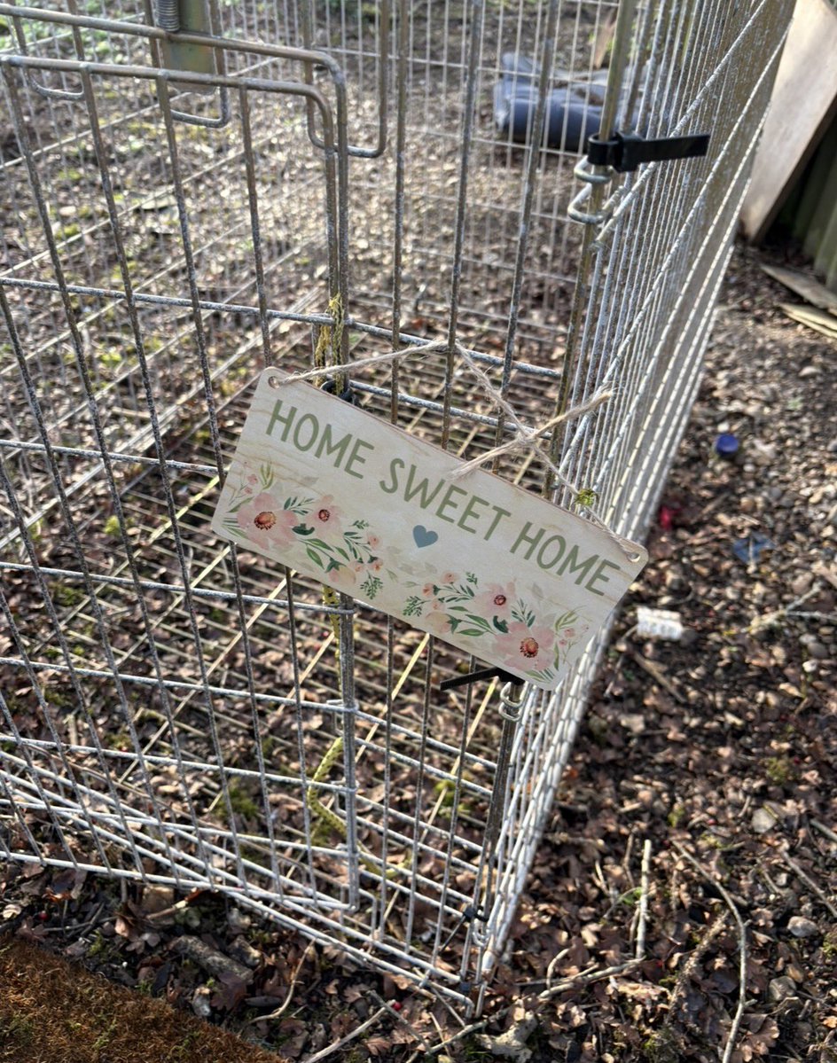 Obey_Maam's tweet image. Home is where you belong.