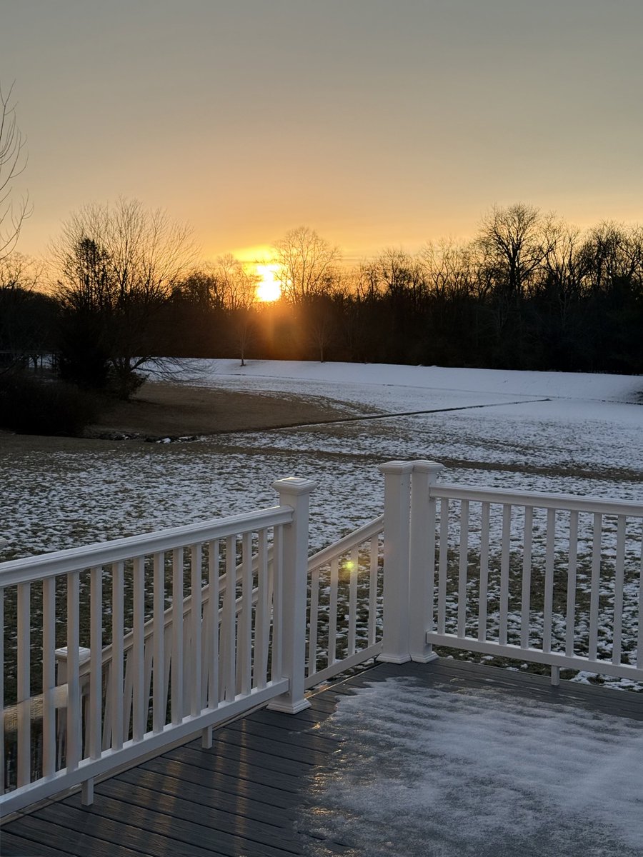 Vortexvibes tweet media