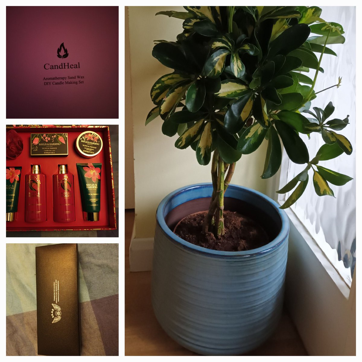 Frances 💙 tweet media