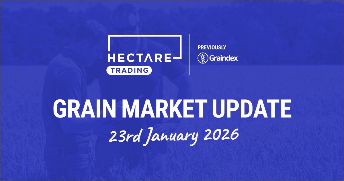 🌾📊 Midlands feed wheat falls back to £167

Farmers on Hectare Trading have seen offers of £167/t for feed wheat, £176/t for milling wheat, and £163/t for feed barley in the Midlands this week.

Read the full grain market update here: wearehectare.com/news/intense-g…