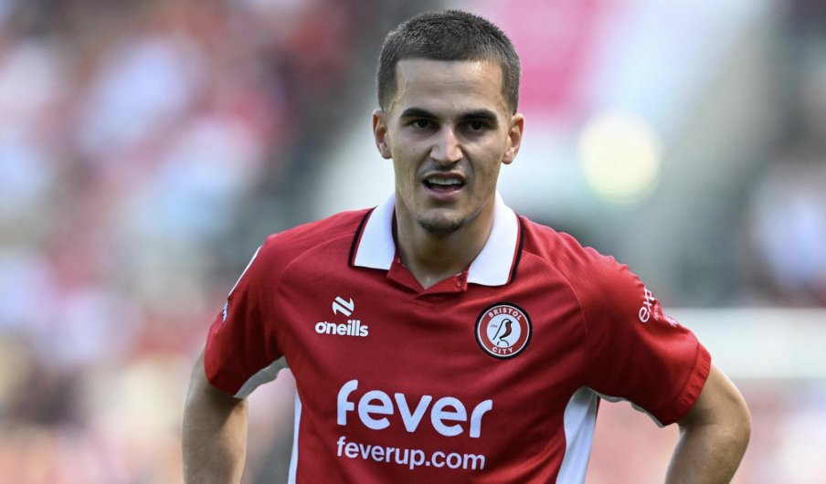 Ross Arnott tweet media