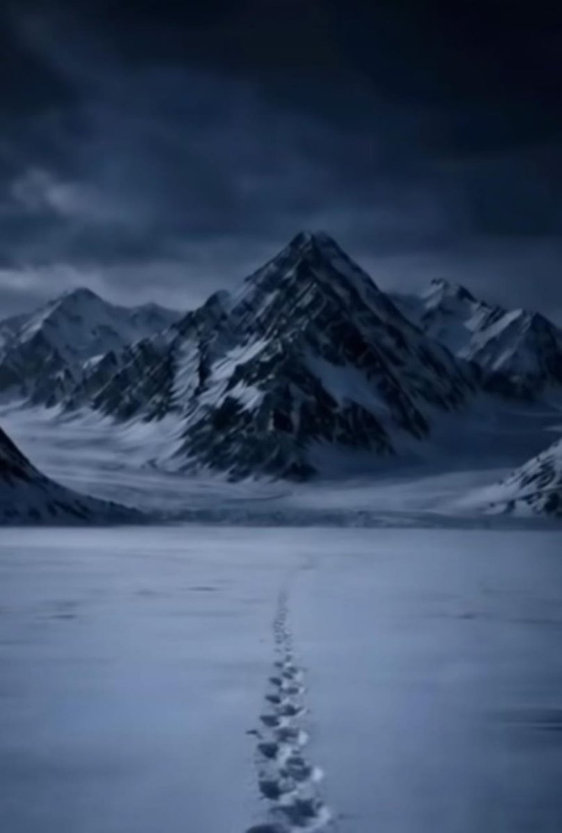 spaghetti tweet media