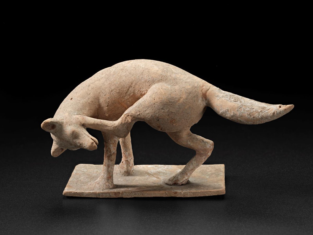 archaeologyart's tweet image. Figurine of a fox scratching his head, Greek (Boeotian), Late 6th–early 5th century BC .