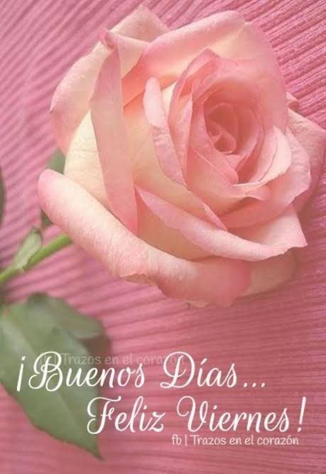 Sergio Manuel Barrón tweet media