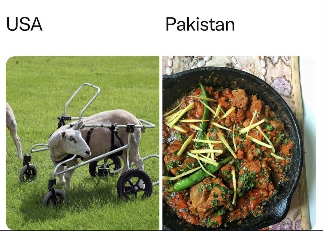 When any animal is injured 😭