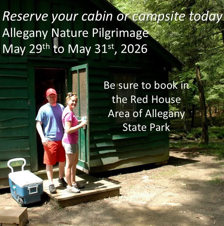 AlleganyPaul's tweet photo. Mark your calendars:
I Love my Park Day Sat May 2nd at the Beehunter picnic shelter. Registration starts at 9am.
Allegany State Park Geobash Saturday May 16th.
Allegany Nature Pilgrimage May 20-31st
Join us at https://t.co/rFH4EyRNS1 https://t.co/wejqTxQ2Hk