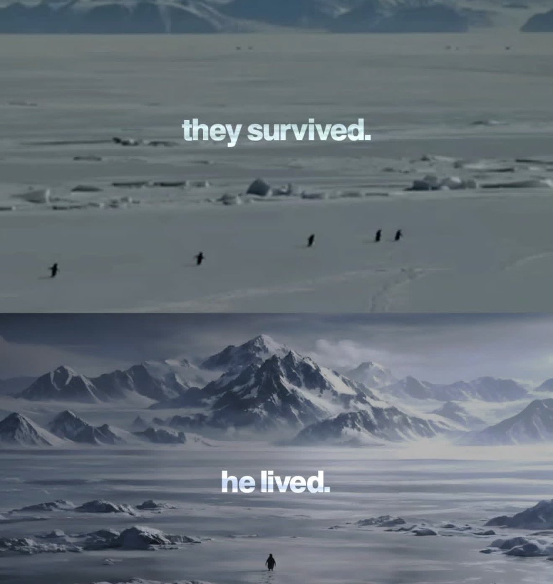 Evan Jawad tweet media