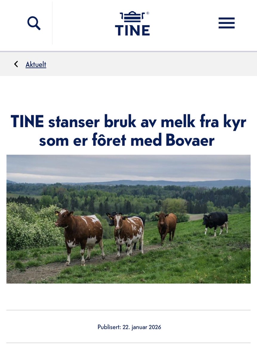 Elgokse 🇳🇴💪 tweet media