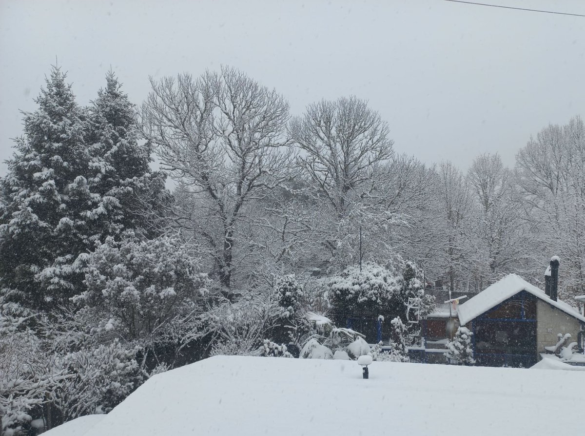 La borrasca #Ingrid deja hoy estampas invernales ⛄️ ❄️ en mi pueblo que hace muchos años no se veían

La nieve lo cubre todo con su manto blanco y deja estampas tan bonitas como las que adjunto

Nuestro planeta 🌎nos regala estampas mágicas y recursos únicos,cuidémoslo

AV