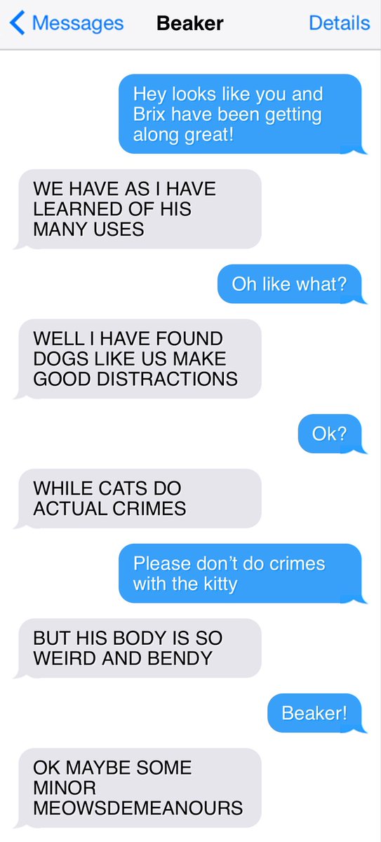 During the week a dog named Bunsen texts his family.

Those texts are saved.

Today they are shared.

This is Texts From Bunsen!