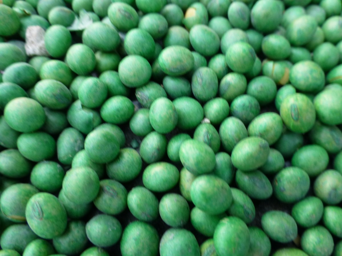 Crop Protection Network tweet media