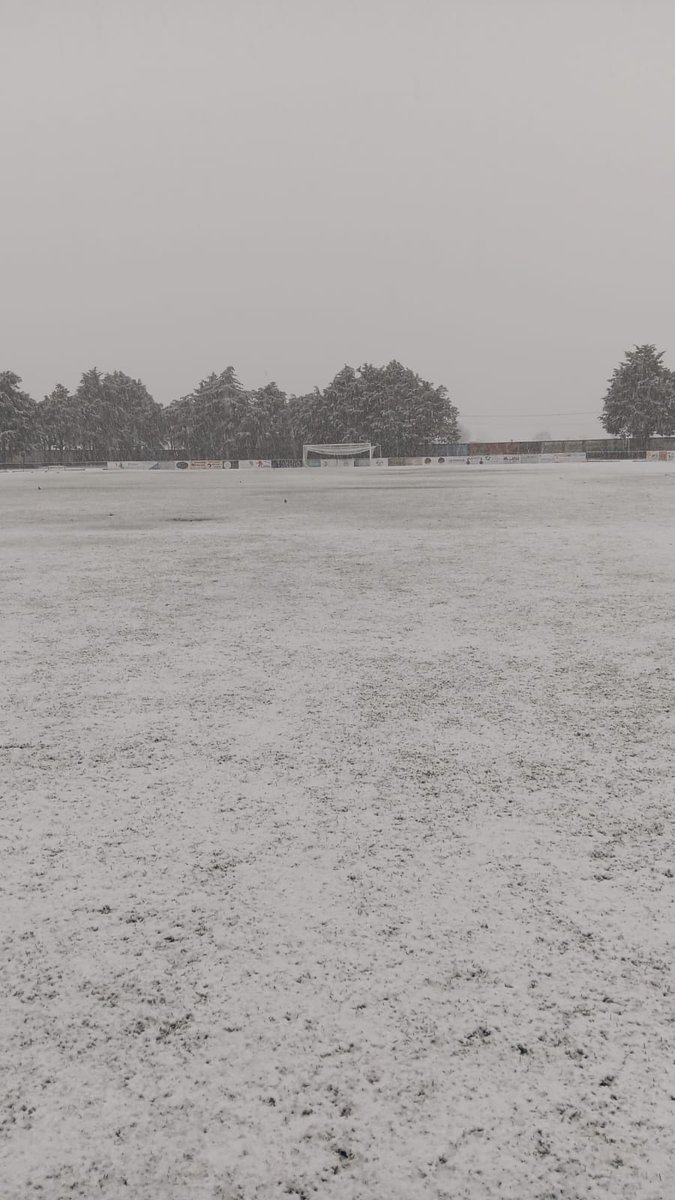 Fica Coa Bola YT tweet media