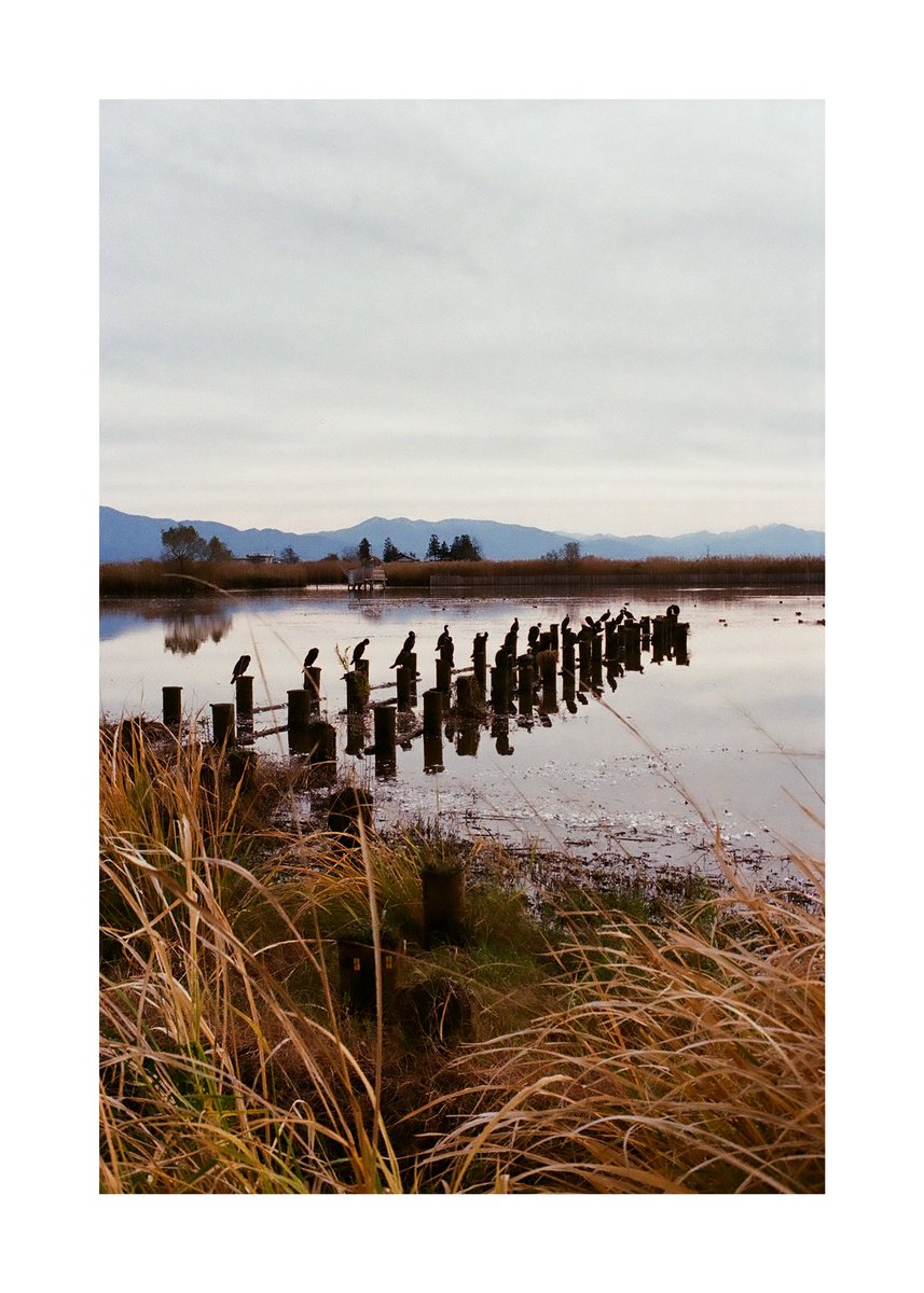 FORPRO_F's tweet image. Nikon F2
Ai NIKKOR 45mm f2.8P
Kodak ULTRAMAX 400