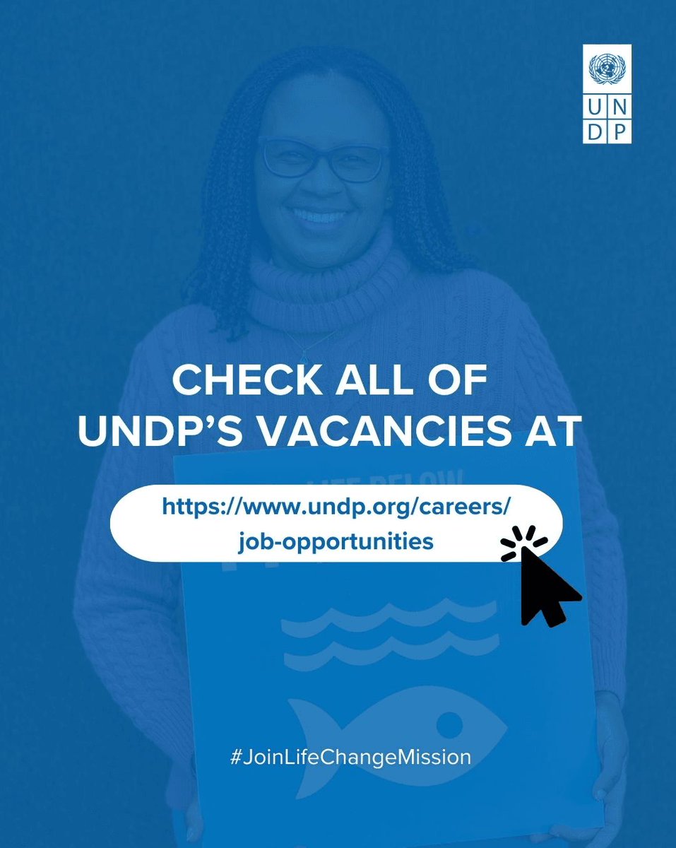 ✅️22 positions are now open at UNDP in the field of Strategy, Management, and Operations. Check out the opportunities below for international, local and remote personnel and #JoinALifeChagingMission with UNDP.
 
💼 Explore this week’s vacancies: buff.ly/z47wVDz