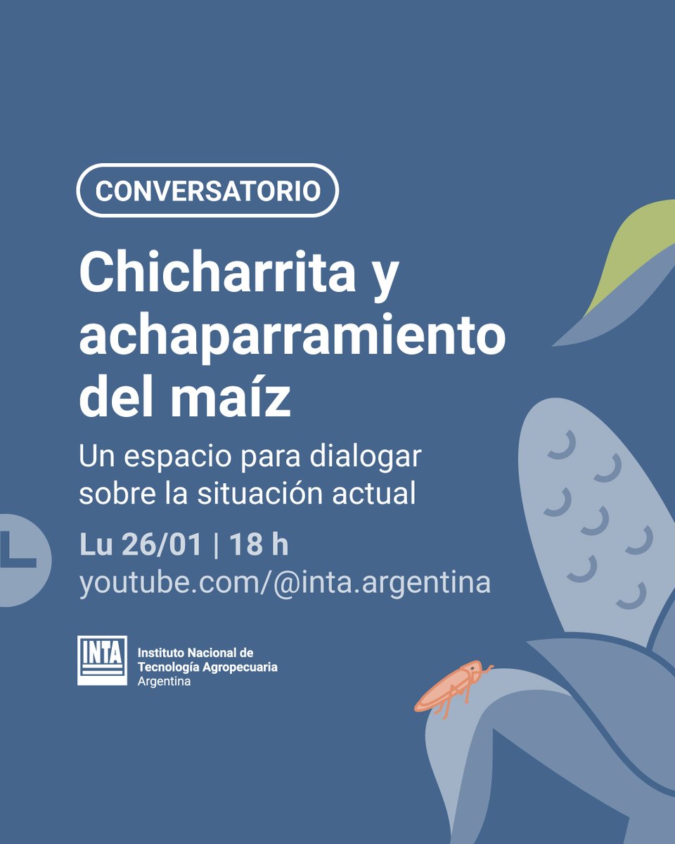🌽Organizamos un conversatorio para dialogar sobre el achaparramiento del maíz y la aparición de chicharritas en algunas zonas productivas, y compartir información relevante para la toma de decisiones.

📅 Lunes 26/01 | 18 h
🖥️Seguilo en YouTube: bit.ly/3YVgPAe