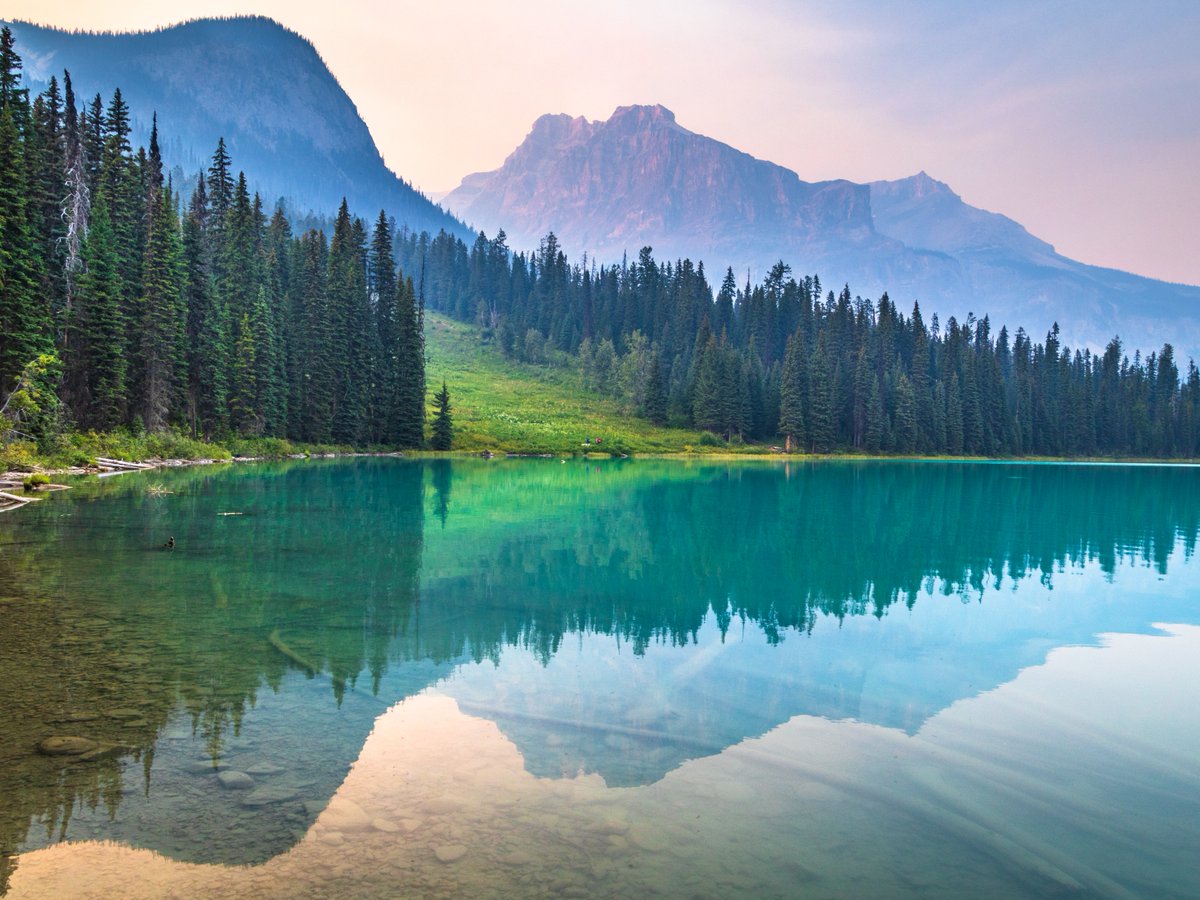 Discovery's tweet image. 📍Emerald Lake, British Columbia, Canada

📸: Feng Wei

#landscape #Canada #lake