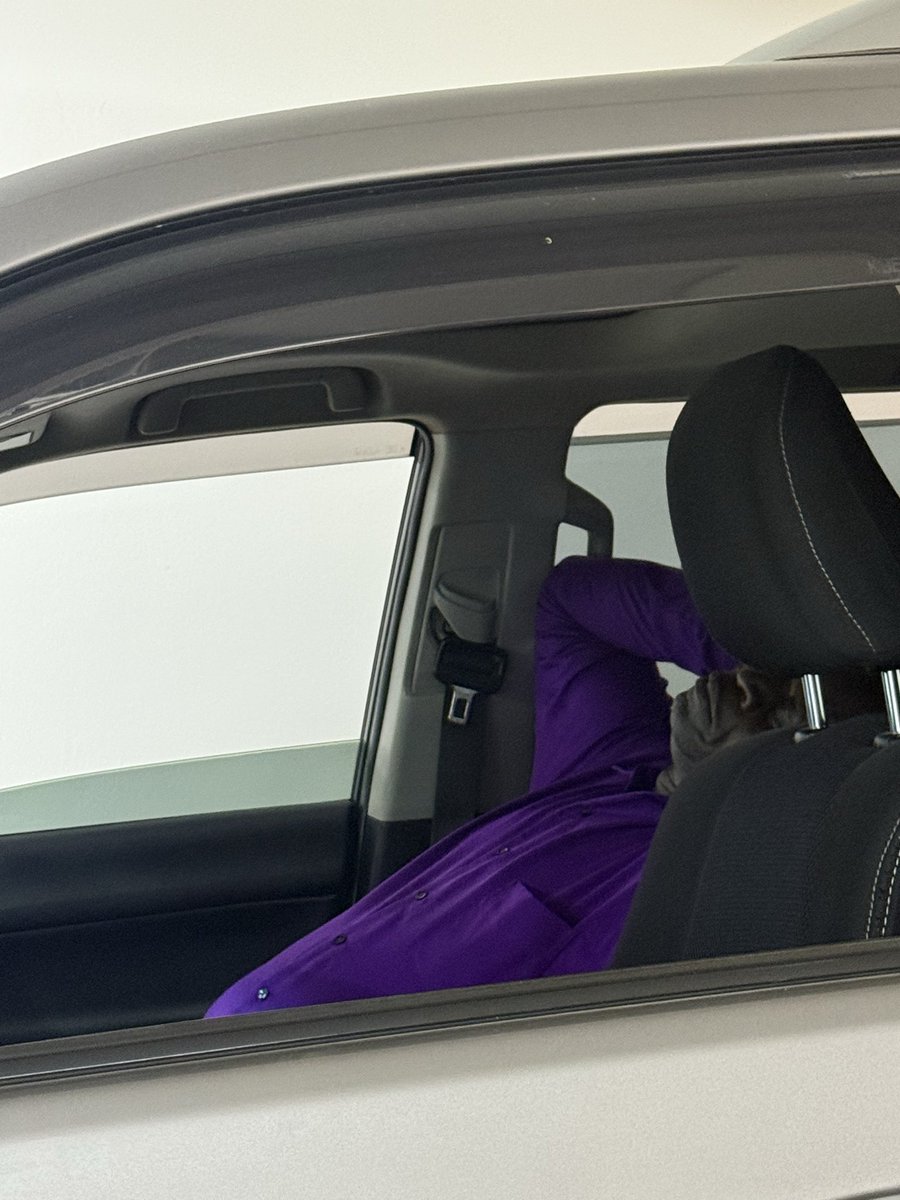 Salim Ali tweet media